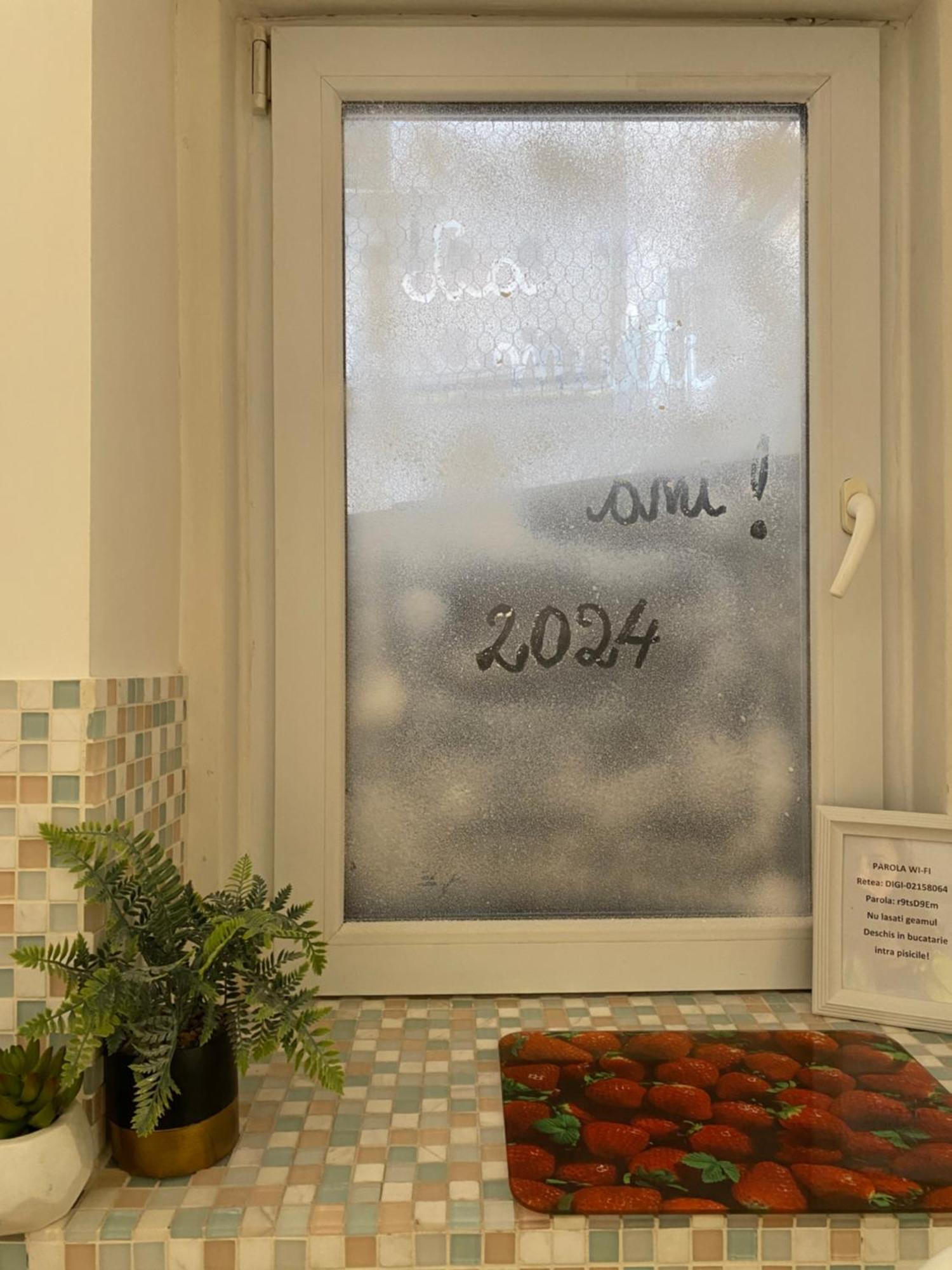 Vintage Apartament Ultracentral Крайова Экстерьер фото